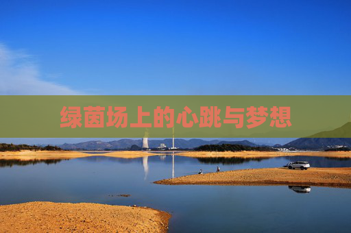 绿茵场上的心跳与梦想