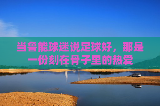 当鲁能球迷说足球好,那是一份刻在骨子里的热爱 当鲁能球迷说足球好,那是一份刻在骨子里的热爱