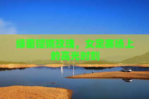 绿茵铿锵玫瑰，女足赛场上的高光时刻
