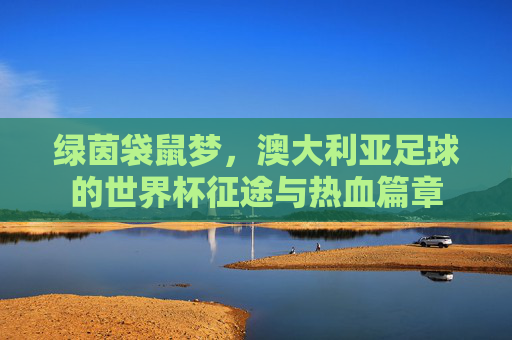 绿茵袋鼠梦，澳大利亚足球的世界杯征途与热血篇章