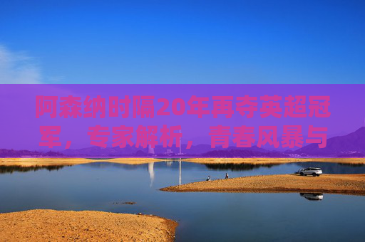 阿森纳时隔20年再夺英超冠军，专家解析，青春风暴与战术革命的胜利