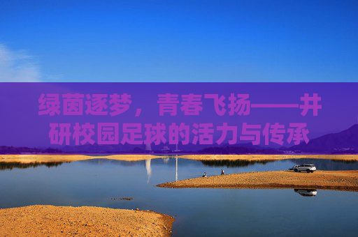 绿茵逐梦，青春飞扬——井研校园足球的活力与传承