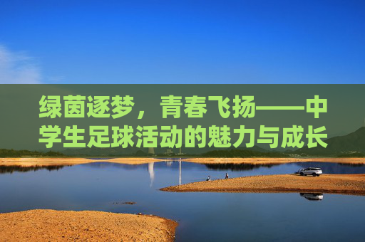 绿茵逐梦，青春飞扬——中学生足球活动的魅力与成长