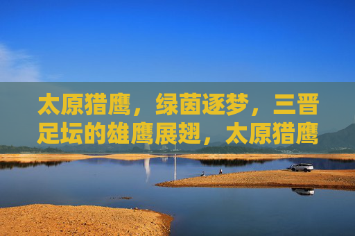 太原猎鹰，绿茵逐梦，三晋足坛的雄鹰展翅，太原猎鹰，绿茵逐梦，三晋足坛雄鹰展翅