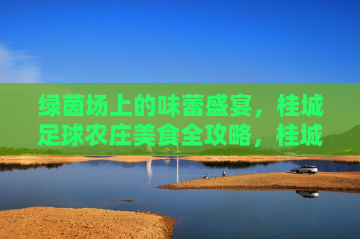 绿茵场上的味蕾盛宴，桂城足球农庄美食全攻略，桂城足球农庄，绿茵场上的美食全攻略