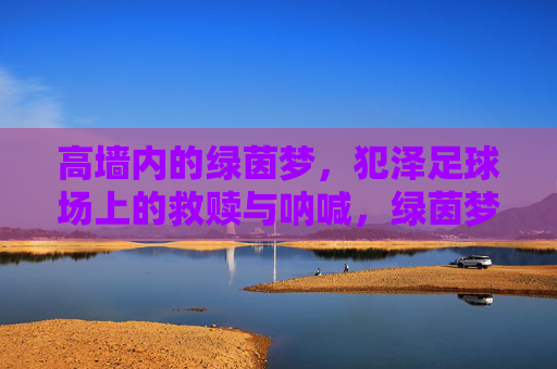 高墙内的绿茵梦，犯泽足球场上的救赎与呐喊，绿茵梦，高墙救赎