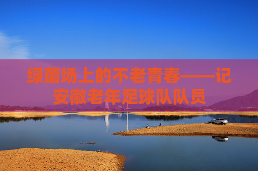 绿茵场上的不老青春——记安徽老年足球队队员