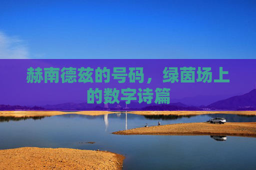 赫南德兹的号码，绿茵场上的数字诗篇