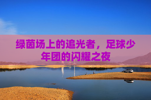 绿茵场上的追光者，足球少年团的闪耀之夜