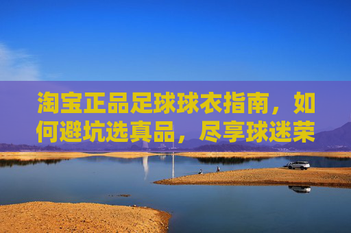 淘宝正品足球球衣指南，如何避坑选真品，尽享球迷荣耀，淘宝正品足球球衣避坑指南，选真品，尽享球迷荣耀