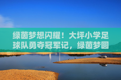 绿茵梦想闪耀！大坪小学足球队勇夺冠军记，绿茵梦圆！大坪小学足球队勇夺冠军