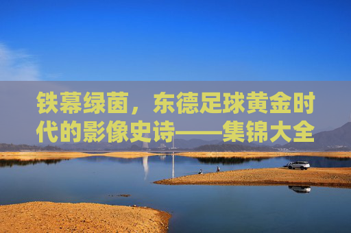 铁幕绿茵，东德足球黄金时代的影像史诗——集锦大全背后的故事