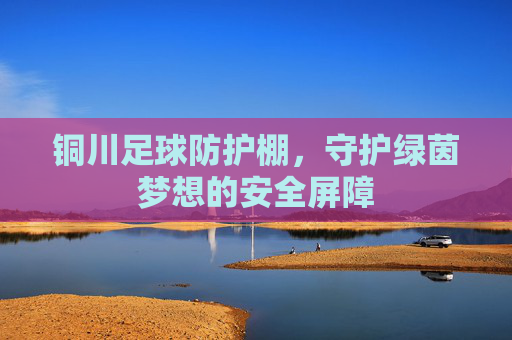 铜川足球防护棚，守护绿茵梦想的安全屏障
