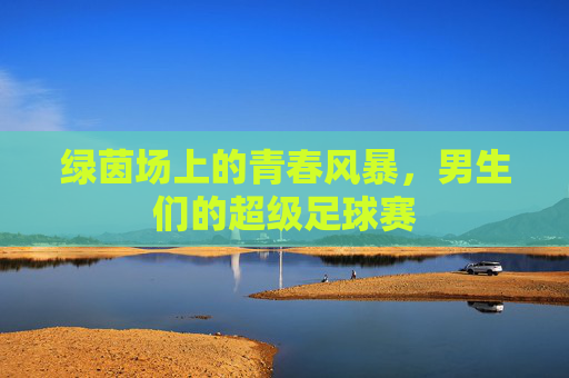 绿茵场上的青春风暴，男生们的超级足球赛