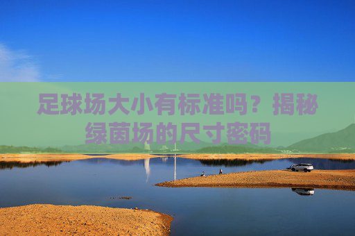 足球场大小有标准吗？揭秘绿茵场的尺寸密码
