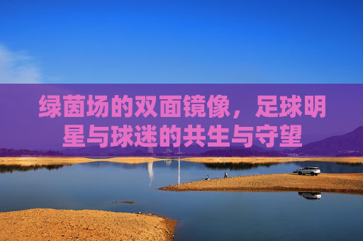 绿茵场的双面镜像，足球明星与球迷的共生与守望
