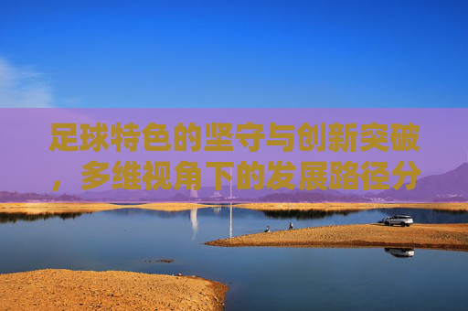 足球特色的坚守与创新突破，多维视角下的发展路径分析