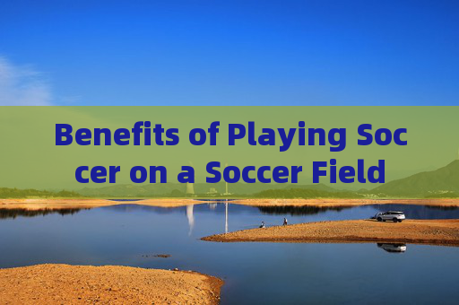 Benefits of Playing Soccer on a Soccer Field