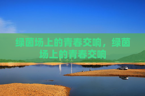 绿茵场上的青春交响,绿茵场上的青春交响 绿茵场上的青春交响,绿茵场上的青春交响