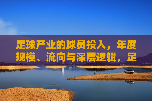 足球产业的球员投入，年度规模、流向与深层逻辑，足球产业球员投入，年度规模、流向与深层逻辑