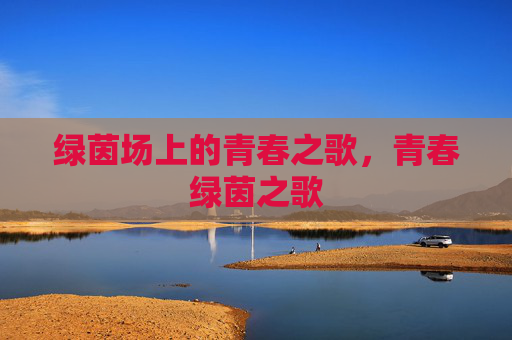 绿茵场上的青春之歌，青春绿茵之歌