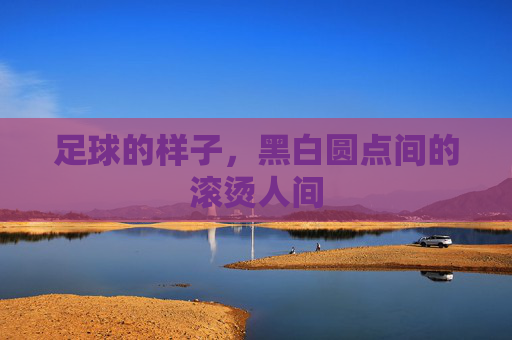 足球的样子，黑白圆点间的滚烫人间