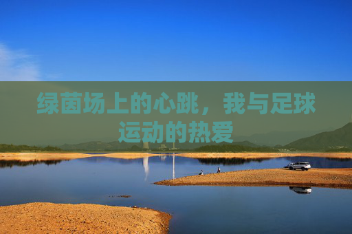 绿茵场上的心跳，我与足球运动的热爱
