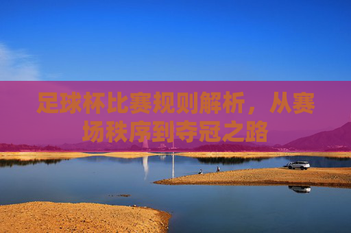 足球杯比赛规则解析，从赛场秩序到夺冠之路