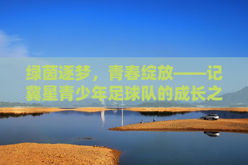 绿茵逐梦,青春绽放——记冀星青少年足球队的成长之路 绿茵逐梦,青春绽放——记冀星青少年足球队的成长之路