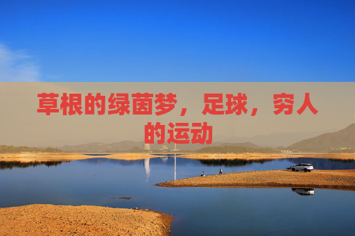 草根的绿茵梦，足球，穷人的运动