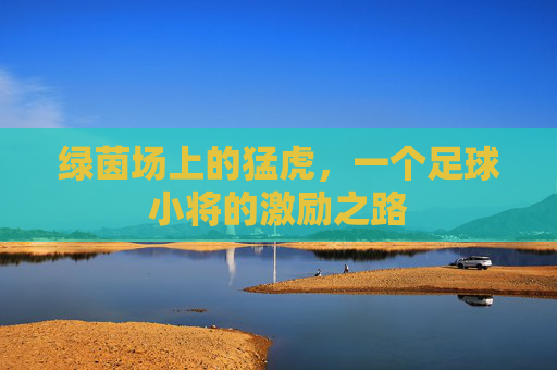 绿茵场上的猛虎，一个足球小将的激励之路
