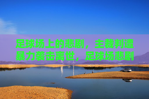 足球场上的悲剧，主裁判遭暴力袭击离世，足球场悲剧，主裁判遭暴力袭击离世
