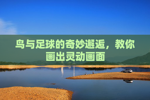 鸟与足球的奇妙邂逅,教你画出灵动画面 鸟与足球的奇妙邂逅,教你画出灵动画面