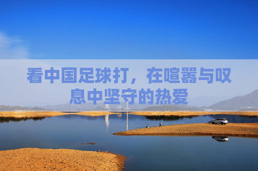 看中国足球打，在喧嚣与叹息中坚守的热爱