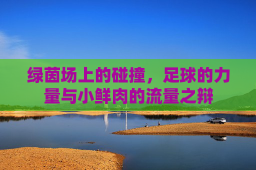 绿茵场上的碰撞,足球的力量与小鲜肉的流量之辩 绿茵场上的碰撞,足球的力量与小鲜肉的流量之辩