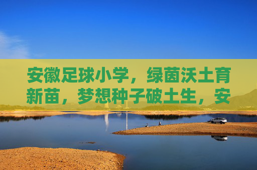 安徽足球小学，绿茵沃土育新苗，梦想种子破土生，安徽足球小学，绿茵沃土育新苗，梦想破土生