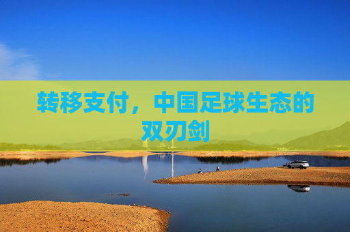 转移支付，中国足球生态的双刃剑