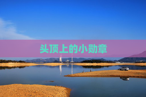 头顶上的小勋章