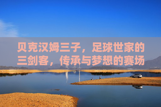 贝克汉姆三子，足球世家的三剑客，传承与梦想的赛场征途