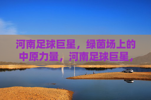 河南足球巨星，绿茵场上的中原力量，河南足球巨星，绿茵场上的中原力量