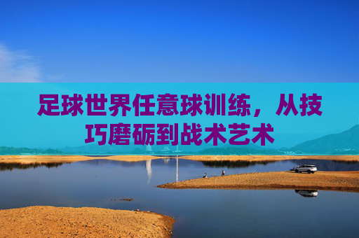 足球世界任意球训练，从技巧磨砺到战术艺术