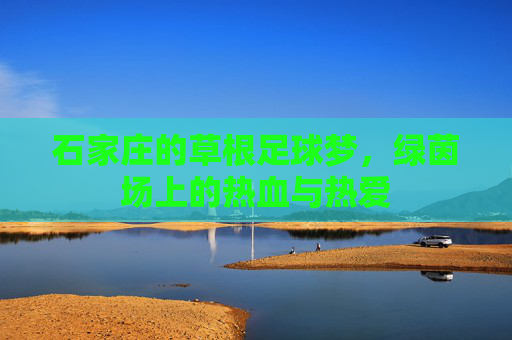 石家庄的草根足球梦，绿茵场上的热血与热爱