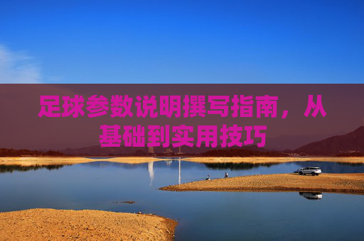 足球参数说明撰写指南，从基础到实用技巧