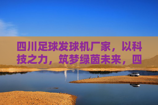四川足球发球机厂家，以科技之力，筑梦绿茵未来，四川足球发球机厂家，科技筑梦绿茵未来