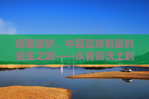 绿茵逐梦,中国足球明星的诞生之路——从青训沃土到世界舞台 绿茵逐梦,中国足球明星的诞生之路——从青训沃土到世界舞台