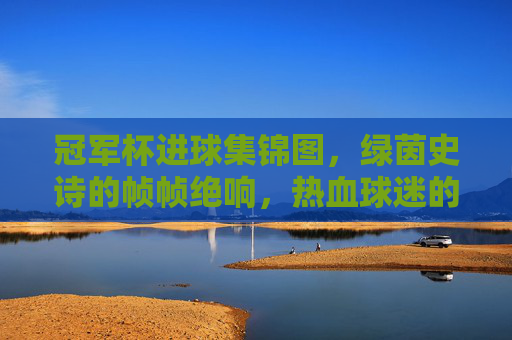 冠军杯进球集锦图，绿茵史诗的帧帧绝响，热血球迷的永恒珍藏，冠军杯进球集锦，绿茵史诗的帧帧珍藏