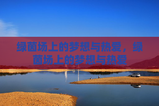 绿茵场上的梦想与热爱，绿茵场上的梦想与热爱