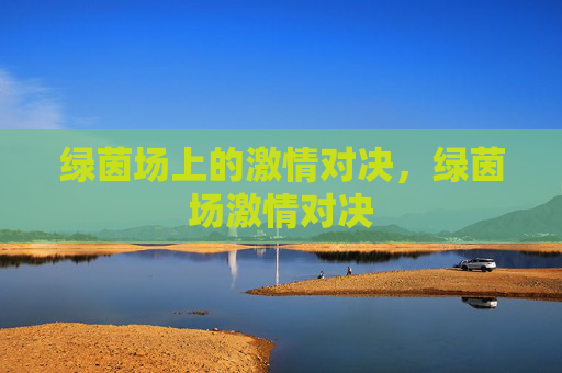 绿茵场上的激情对决，绿茵场激情对决