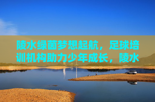 陵水绿茵梦想起航，足球培训机构助力少年成长，陵水绿茵梦想起航，足球培训助力少年成长