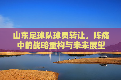山东足球队球员转让，阵痛中的战略重构与未来展望